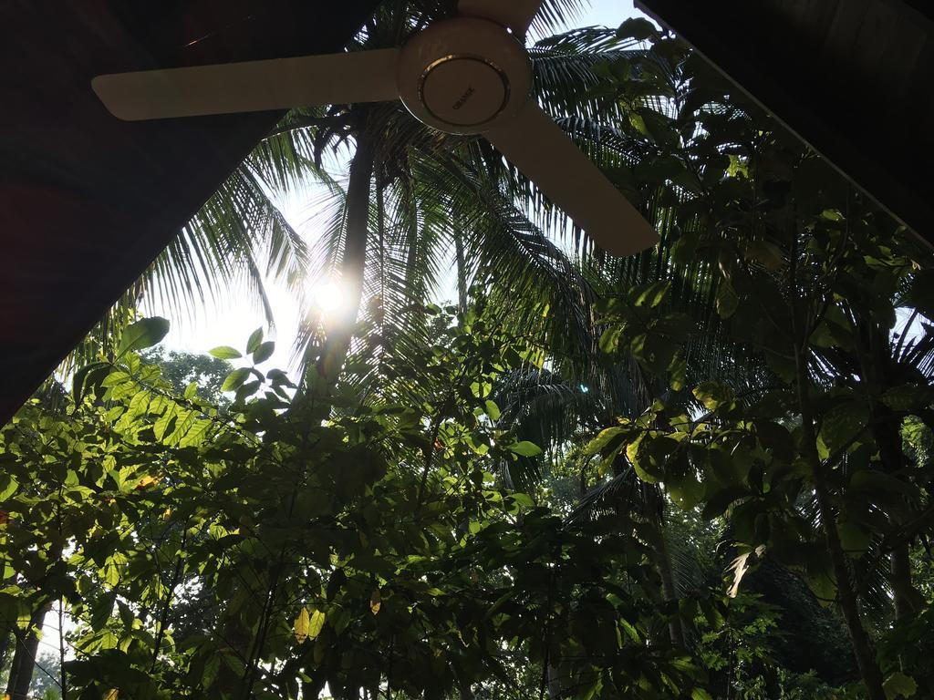 Elegant Hamlets Home Stay Chilaw Exteriör bild
