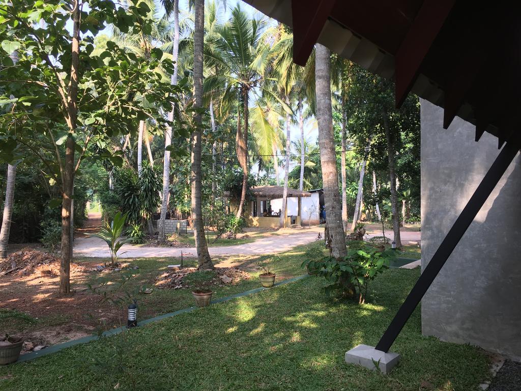 Elegant Hamlets Home Stay Chilaw Exteriör bild