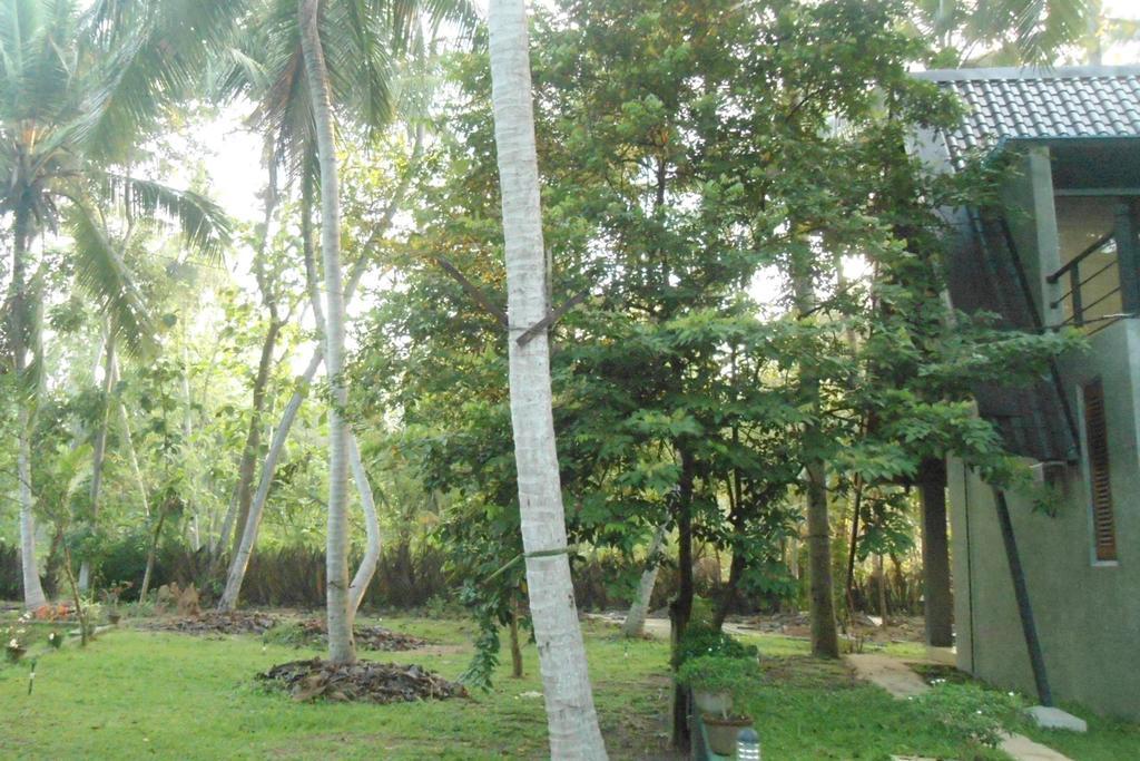 Elegant Hamlets Home Stay Chilaw Exteriör bild